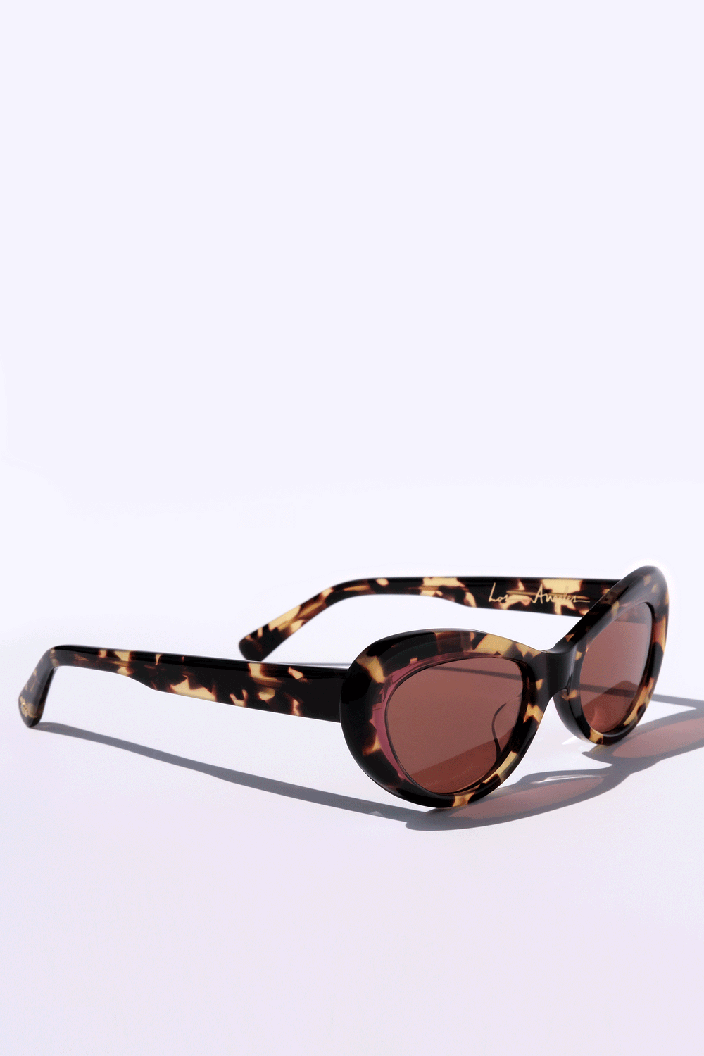Web Brown Acetate Sunglasses